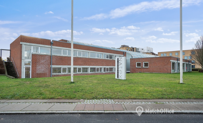Office Blangstedgårdsvej 1 5220 Odense SO