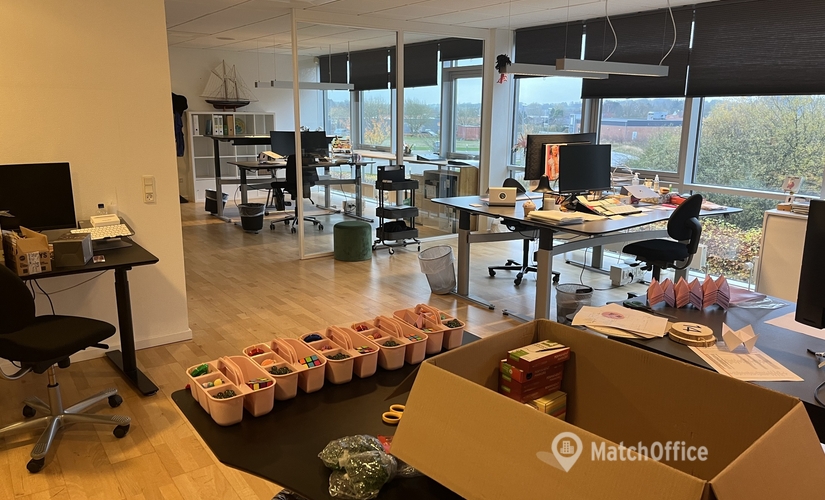 1295 m² Warehouse space for rent in Solbjerg, Solbjerg Hedevej 31 (8355) - 3 | MatchOffice.com