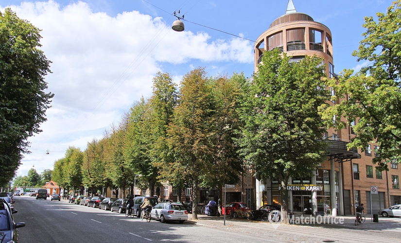 Parkering Dr. Priemes Vej 14 1854 Frederiksberg C