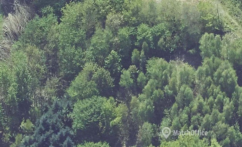 Lager til leje på Hopballevej 60, 7100 Vejle - 1604 m² | Foto 1 - Lokalebasen