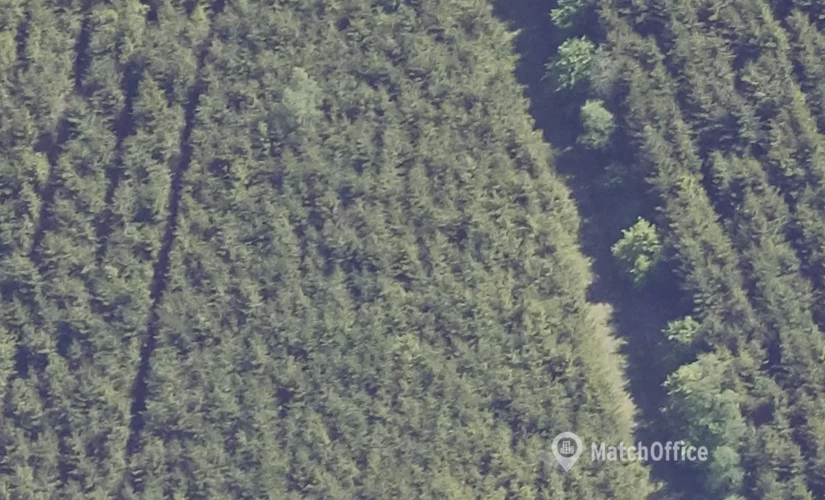 Lager til leje på Hopballevej 60, 7100 Vejle - 1604 m² | Foto 3 - Lokalebasen.dk