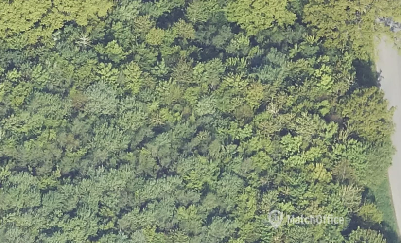 Lager til leje på Hjarupvej 65, 6000 Kolding - 594 m² | Foto 2 - Lokalebasen.dk