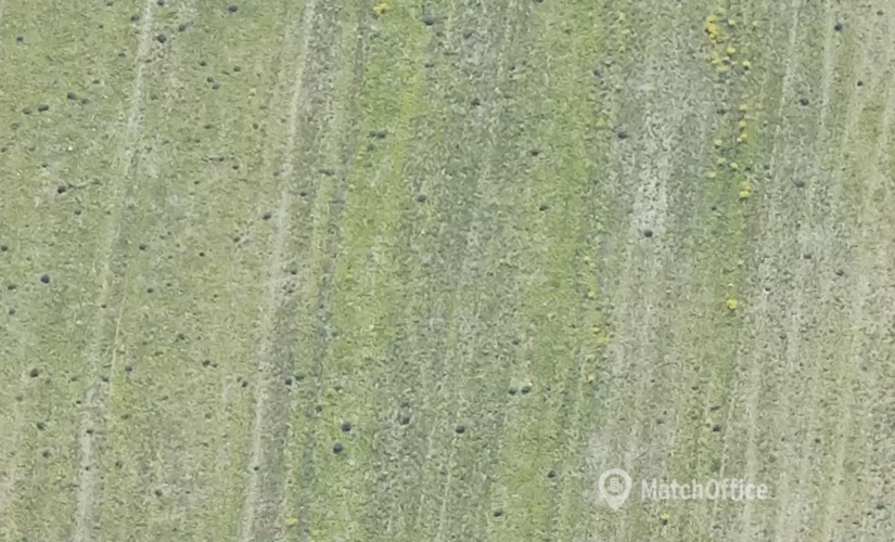 Lager til leje på Gammelmarksvej 5 og 7, 7100 Vejle - 5000 m² | Foto 1 - Lokalebasen