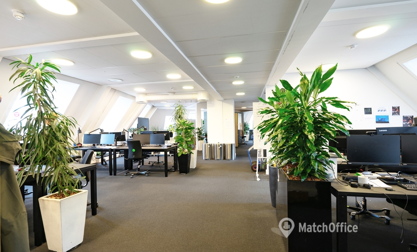 Office Hammerichsgade 14 1611 Copenhagen V