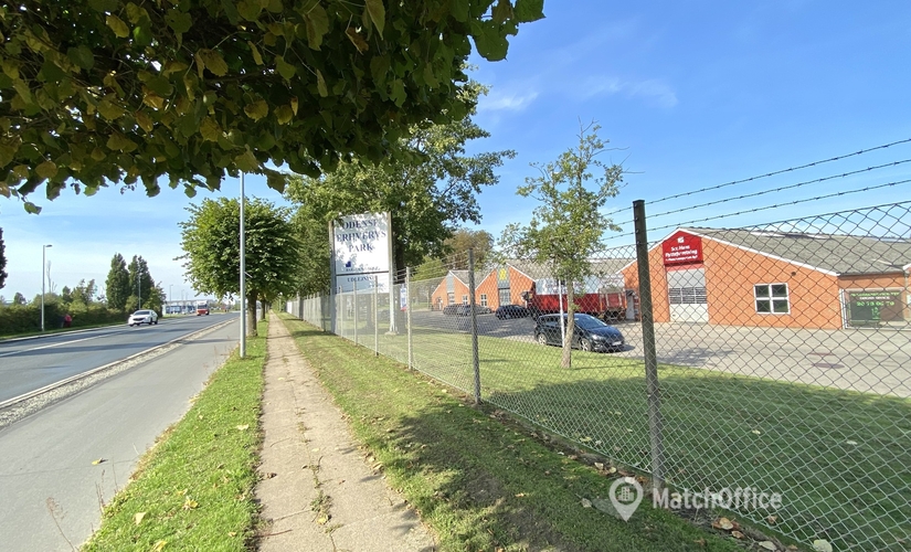 369 m² Warehouse for rent in Odense SO, Cikorievej (5220) - 4 | MatchOffice.com