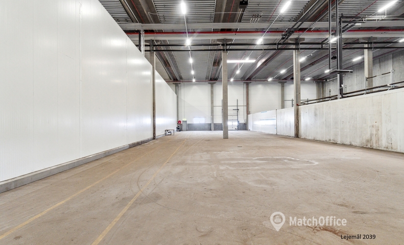 17083 m² Warehouse storage up for rent in Taastrup, Litauen Alle 13 (2630) - 5 | MatchOffice