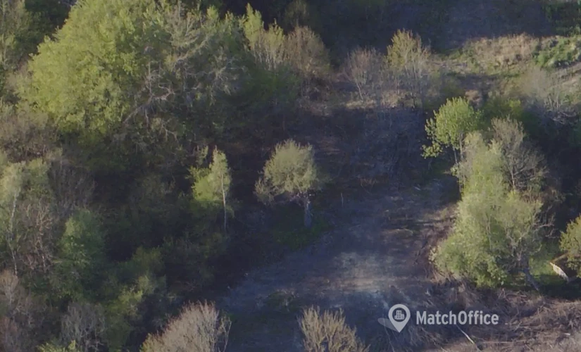 Grund Ledøjevej 29 2620 Albertslund