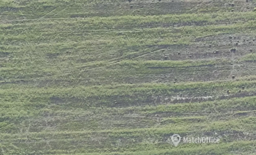 Grund Tangagervej 4 4180 Sorø