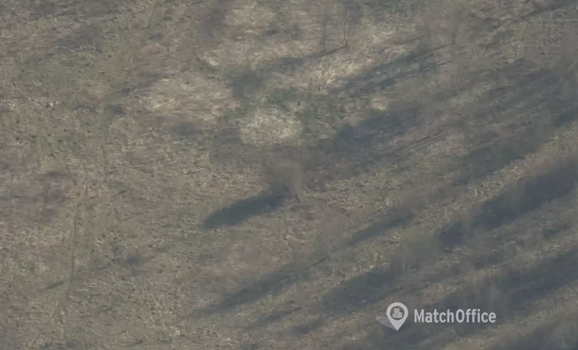 Kontor til leje på Dronning Sophies Allé 13, 8660 Skanderborg - 1546 m² | Foto 1 - Lokalebasen