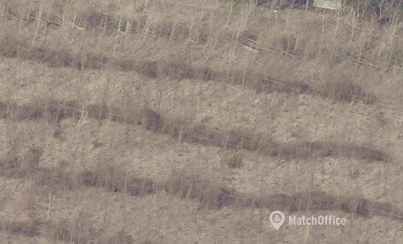 Office Trehuse 9 7441 Bording