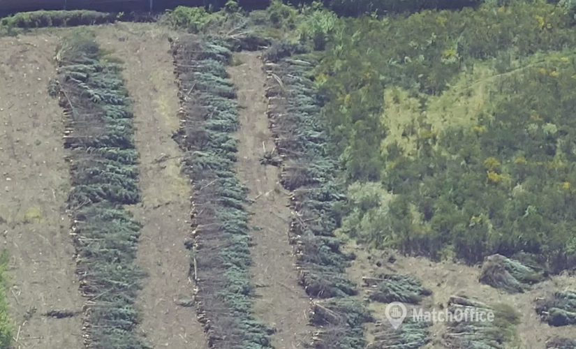 2300 m² Warehouse up for rent in Vejle Ost, Industrivej 8 (7120) - 0 | MatchOffice.com