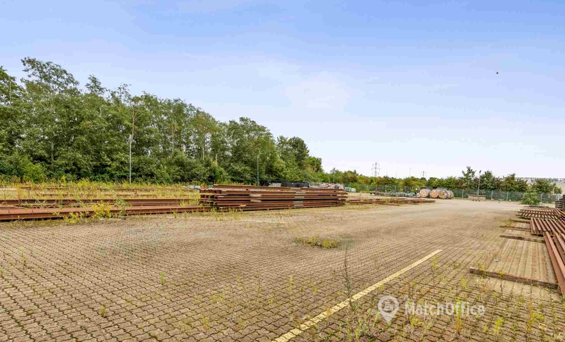 6000 m² Commercial warehouse up for rent in Hedehusene, Baldersbuen (2640) - 4 | MatchOffice