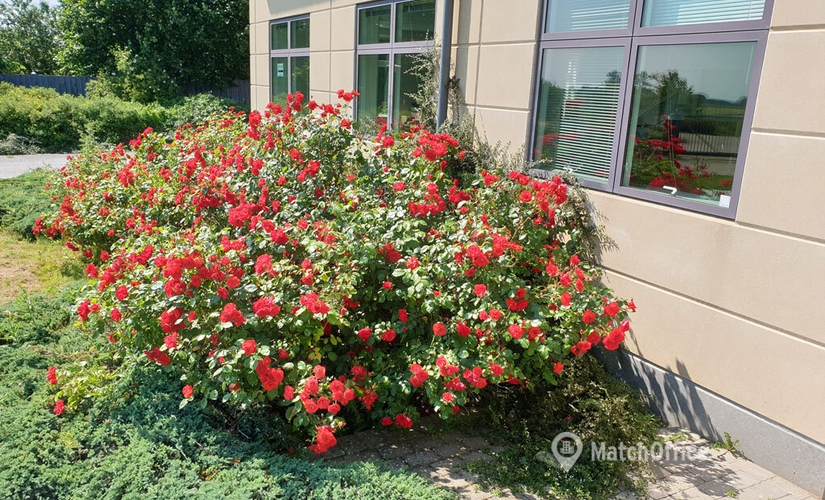 Kontor til leje på Egebjerg Hovedgade 27  Egebjerg, 4500 Nykøbing Sj - 700 m² | Foto 3 - Lokalebasen.dk