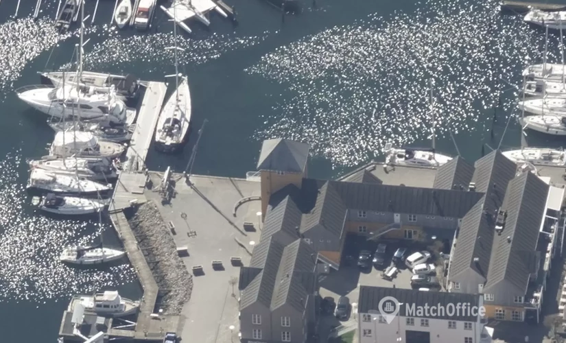 Office Marselisborg Havnevej 54 8000 Aarhus C