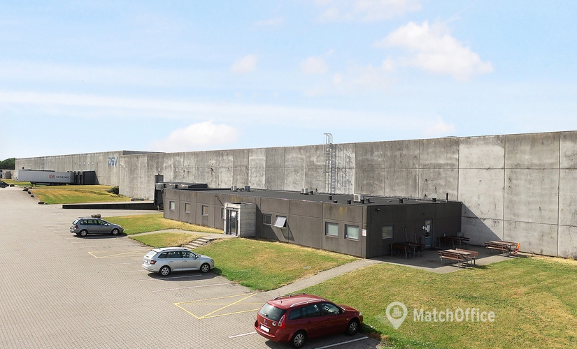 41200 m² Commercial warehouse for rent in Horsens, Egeskovvej 4 (8700) - 1 | MatchOffice