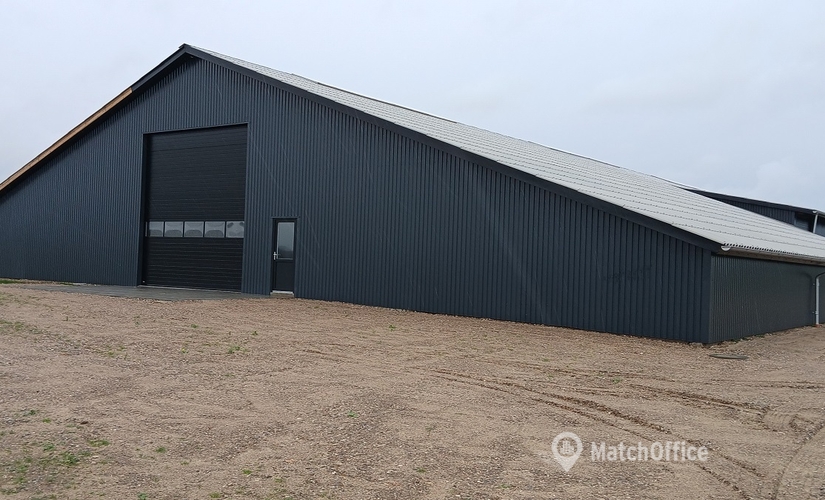 1305 m² Warehouse storage for rent in Ostbirk, Purupvej 9 (8752) - 1 | MatchOffice