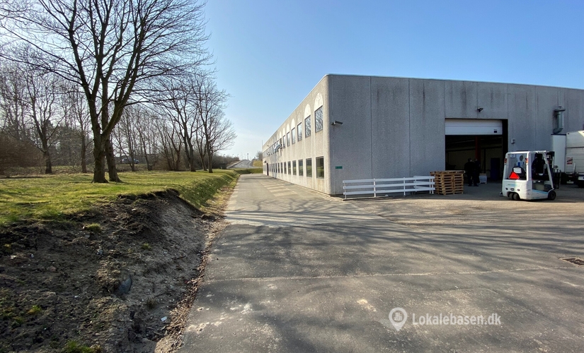 Lager til leje på Møllehaven 31, 4040 Jyllinge - 1160 m² | Foto 2 - Lokalebasen.dk