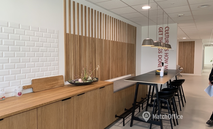 Office Borupvang 5D 2750 Ballerup
