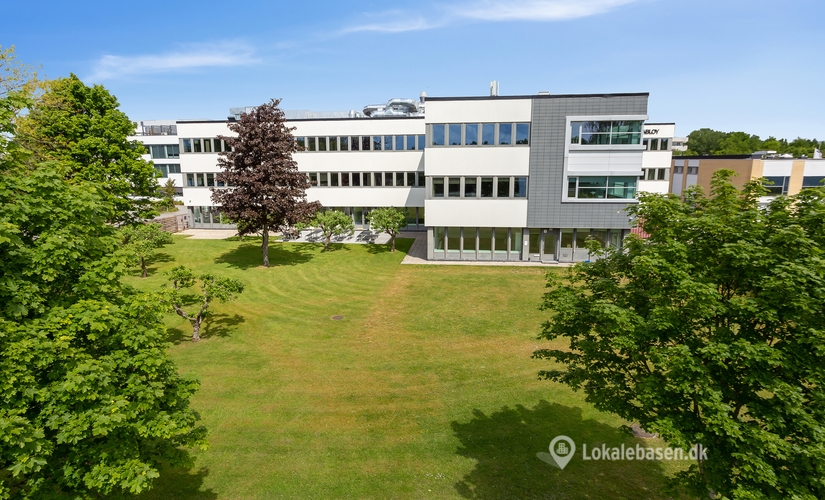Kontor til leje på Borupvang 5D, 2750 Ballerup - 1495 m² | Foto 3 - Lokalebasen.dk