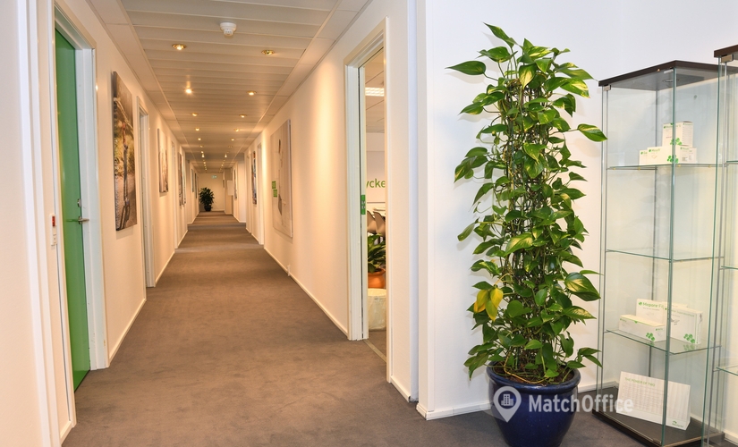 Kontor til leje på Gydevang 39-41, 3450 Allerød - 495 m² | Foto 3 - Lokalebasen
