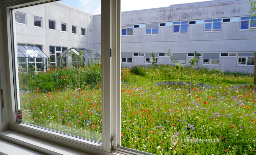 Lager til leje på Dybendalsvænget 3, 2630 Taastrup - 1105 m² | Foto 0 - Lokalebasen.dk