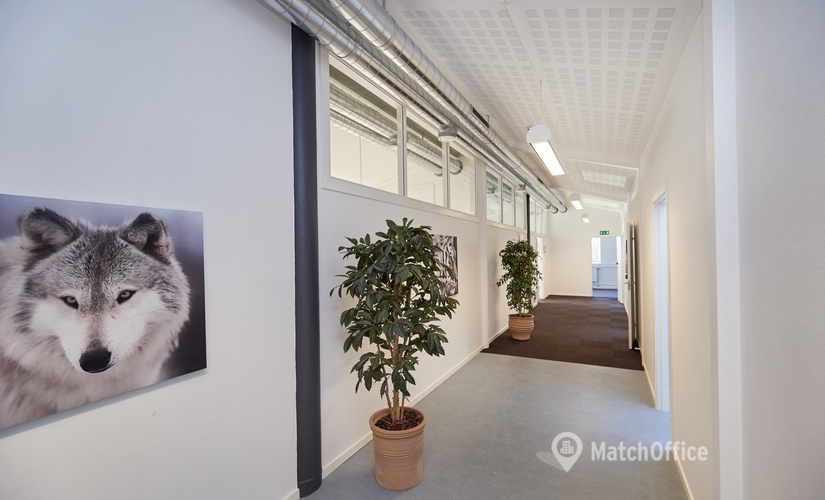 Office Staktoften 22 D 2950 Vedbaek