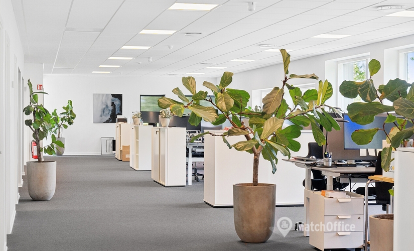 Office Delta Park 45 2665 Vallensbaek Strand