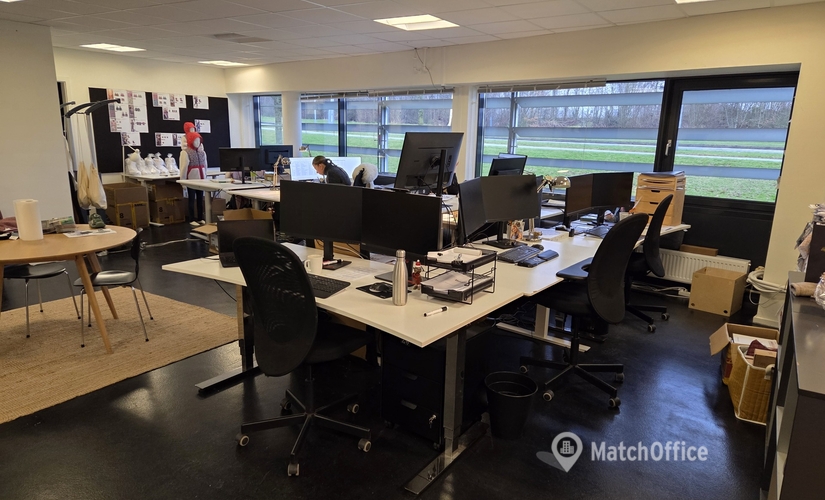 1170 m² Commercial warehouse up for rent in Vejle, Løversysselvej 3C (7100) - 3 | MatchOffice.com