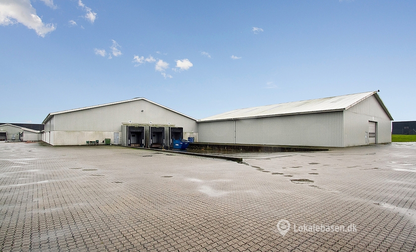 Lager til leje på Satellitvej 7, 8700 Horsens - 11600 m² | Foto 1 - Lokalebasen
