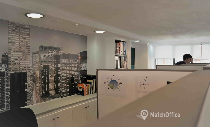 Meeting room Arxiduc Lluis Salvador 7b 07004 Palma de Mallorca