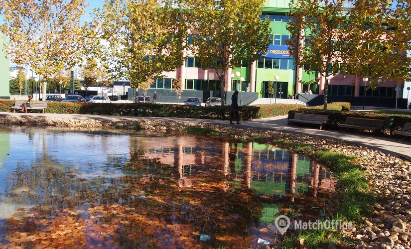 50 m² Serviced office property for rent in Pozuelo de Alarcon, Camino Cerro de los Gamos 1  (28224) - 2 | MatchOffice