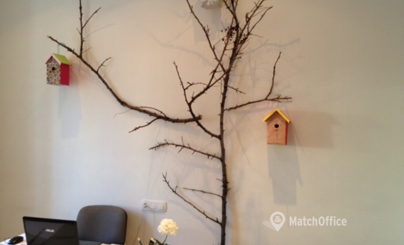 Сoworking C/Pintor Martínez Cubells 12-16  29017 Málaga