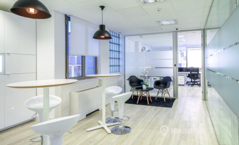 Book a 25 m² Conference hall in Madrid Salamanca, c/ Principe de Vergara 109  (28002) - 1 | MatchOffice