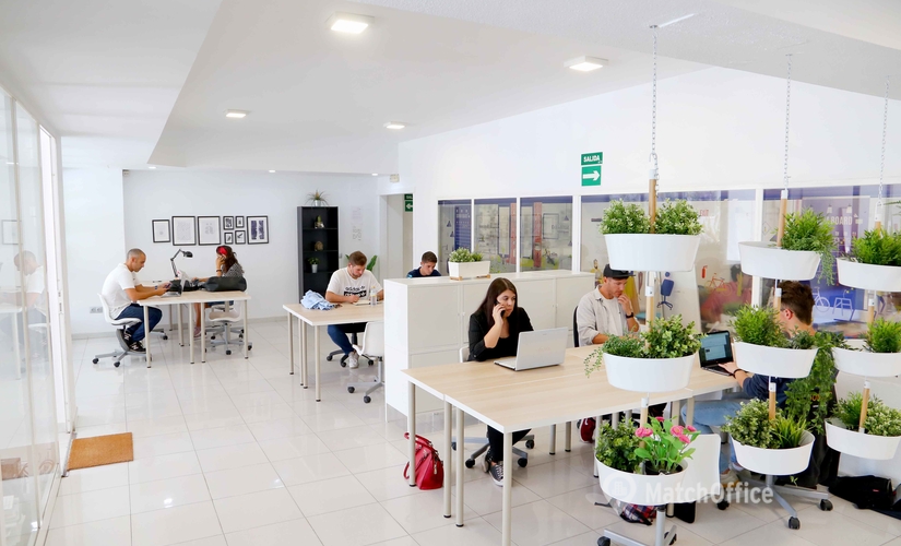 Observe oficinas de coworking en Málaga 400 m², Paseo Reding 7 - 0 | MatchOffice.es