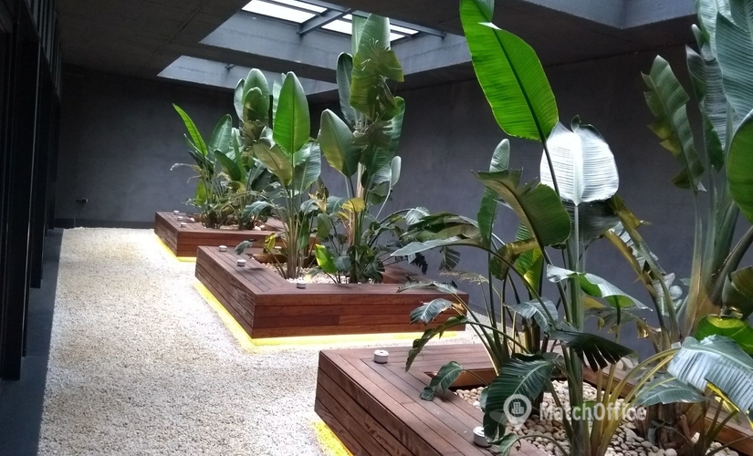 Elija sala de juntas fiable en Barcelona 160 m², Carrer d'Ausiàs Marc 34 - 1 | MatchOffice