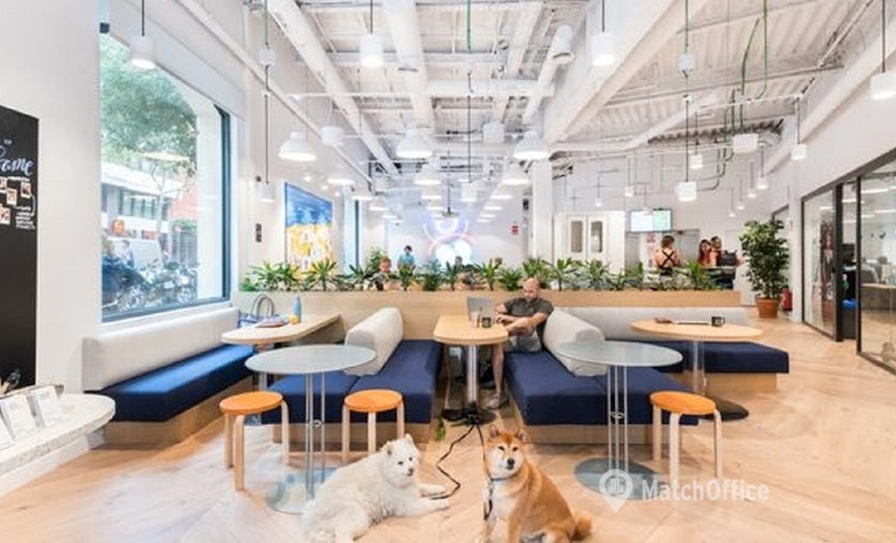 Centros de negocio disponible para alquilar en Barcelona 150 m², Diagonal 444 Catalonia - 4 | MatchOffice.es