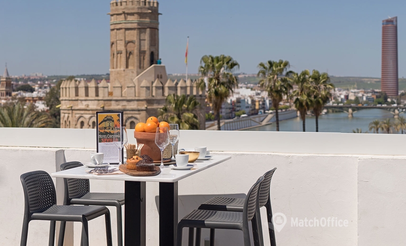 Elija sala de juntas acogedora en Sevilla 32 m², Paseo de las Delicias 1 - 4 | MatchOffice.es