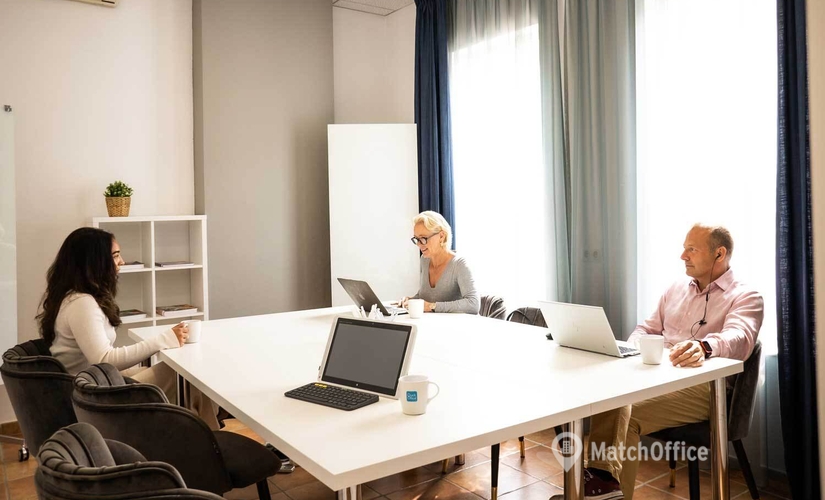 300 m² Business center in Malaga, Calle Romería del Rocío 6 (29640) - 2 | MatchOffice