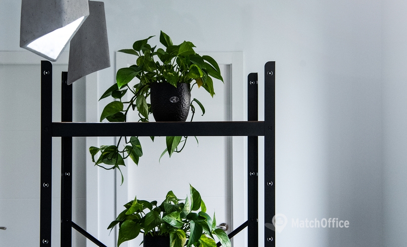 1500 m² Shared office in Malaga, Calle Álamos 7 (29012) - 2 | MatchOffice