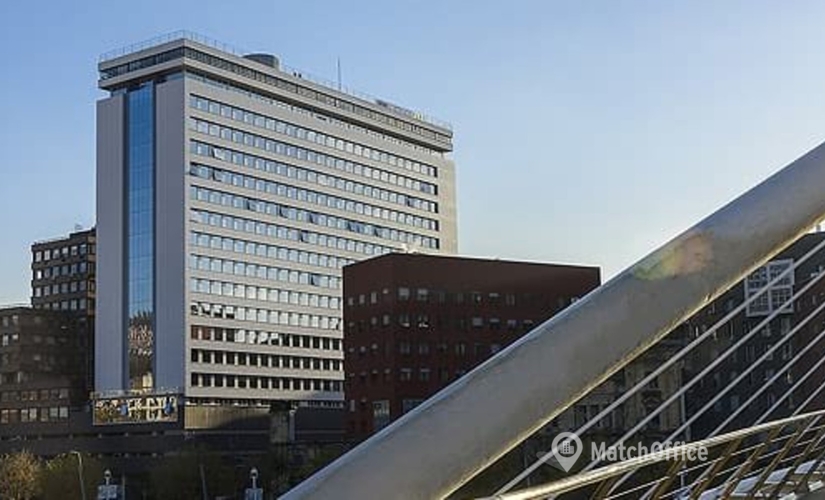 30 m² Meeting room in Bilbao, C/ Máximo Aguirre 12 (48011) - 4 | MatchOffice.com