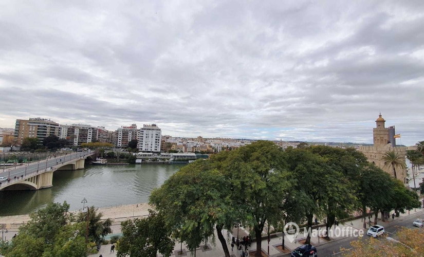 Explore oficinas temporales en Sevilla 17 m², Paseo de las Delicias - 1 | MatchOffice