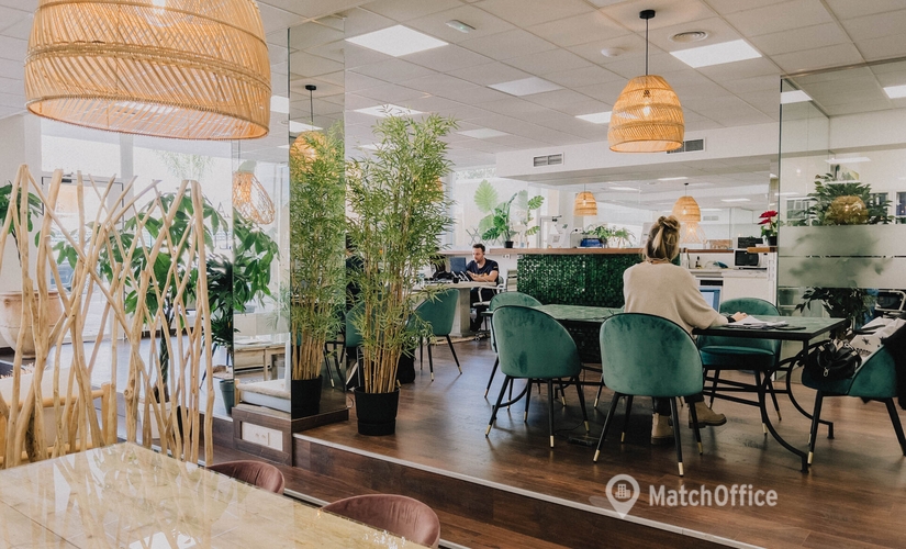 256 m² Serviced office in Marbella, Local 1-2 (29670) - 1 | MatchOffice.com