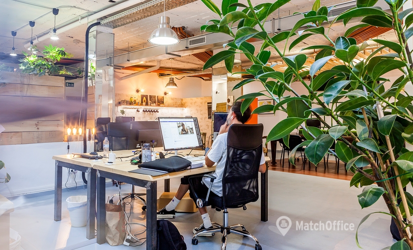 Explore coworking en Palma de Mallorca 10 m², Carrer de l'Arxiduc Lluís Salvador - 2 | MatchOffice