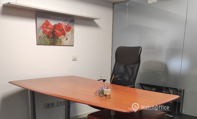 Oficina comercial en alquiler en Eixample 350 m², Carrer d'Aragó 366 - 1 | MatchOffice