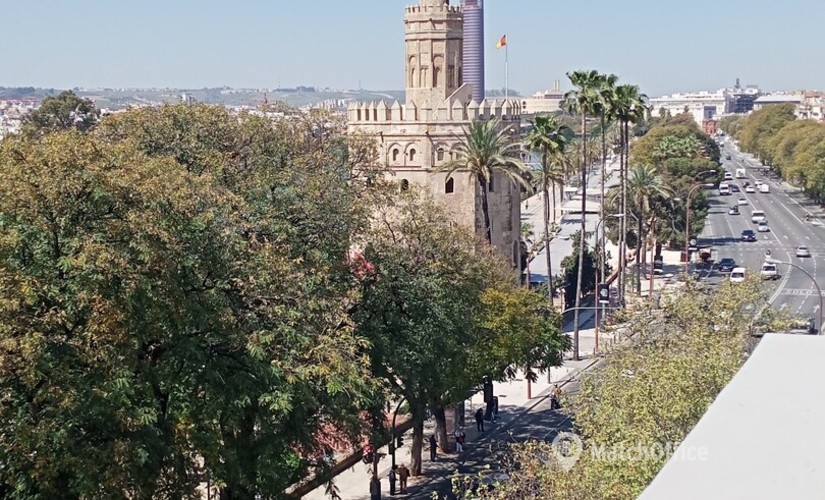 Coopere con nuestra oficina virtual en Sevilla, Paseo de las Delicias 3 - 2 | MatchOffice