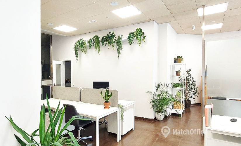 Explore oficinas de coworking en Burgos 132 m², Calle Santa Águeda - 1 | MatchOffice