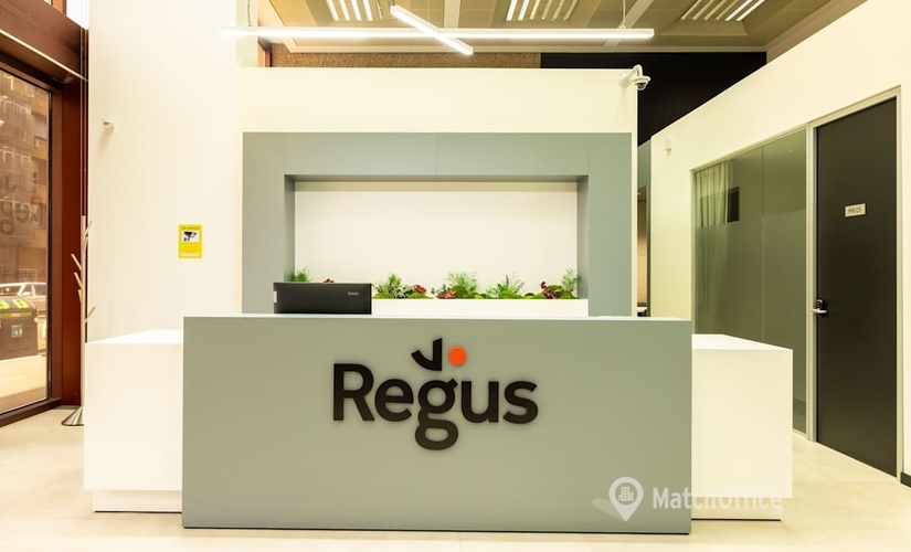 Coworking Calle de Juan Ignacio Luca de Tena, 1,San Blas-Canillejas 28027 Madrid Ciudad Lineal