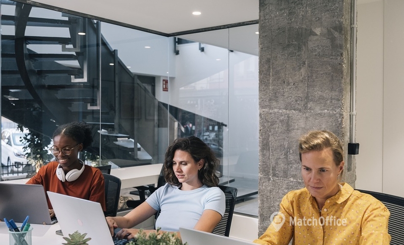 Parque empresarial en alquiler en Madrid Chamartín 13 m², calle Pradillo 5 - 2 | MatchOffice