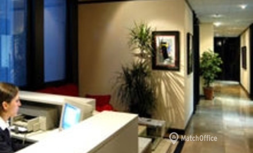 Business center Calle Serrano 240, 5ª planta 28016 Madrid Centro