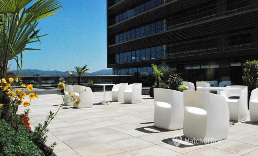 Business center Avenida Vía Augusta 15-25  08174 Sant Cugat det Valles